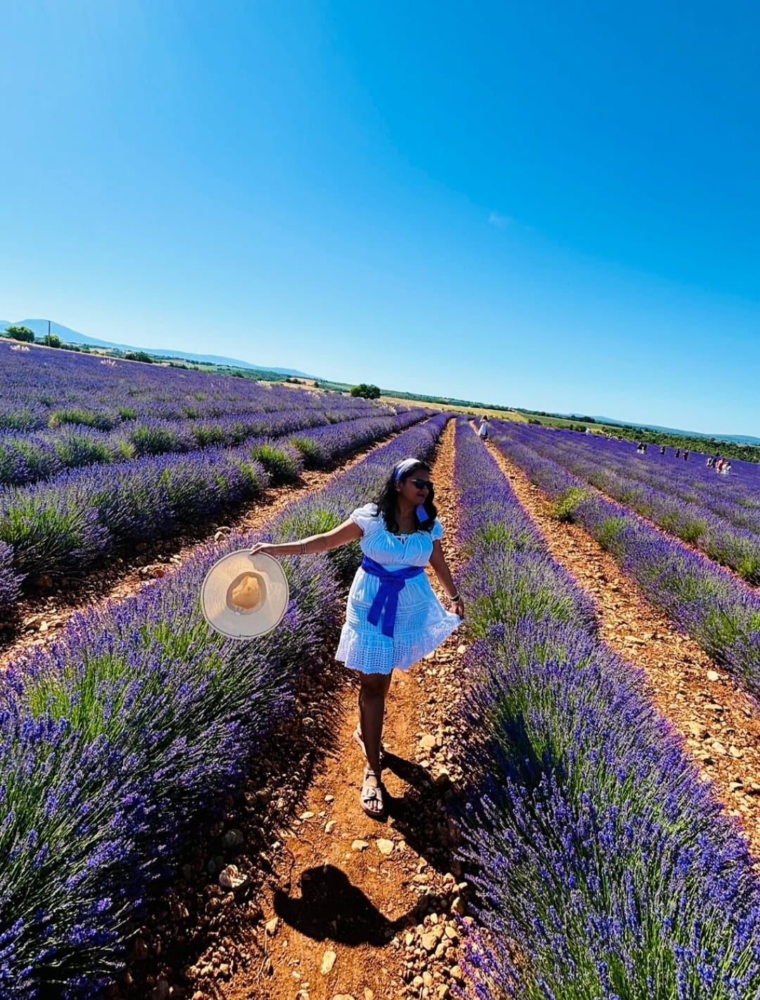 Endless lavender fields